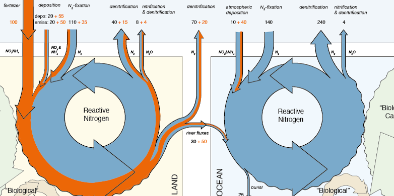 Enlarged view: Nitrogen cycle on land and in the ocean